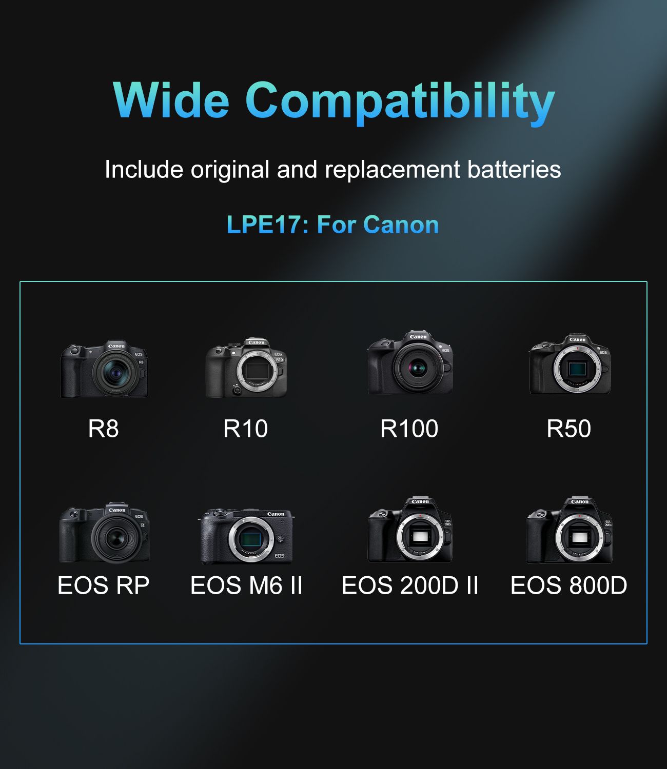 LP-E17 için 20W USB-C PD Çift  - Canon Camera Eos R8 incelemesi ve fiyatı